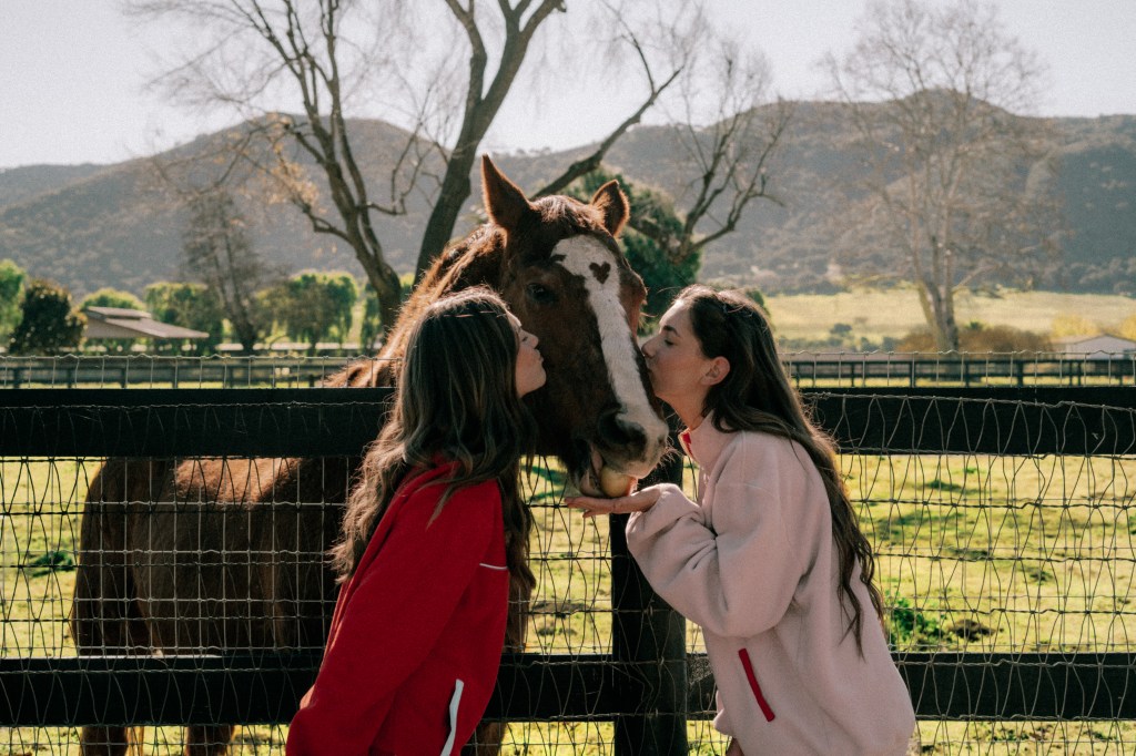 SET Active City of Valentine drop